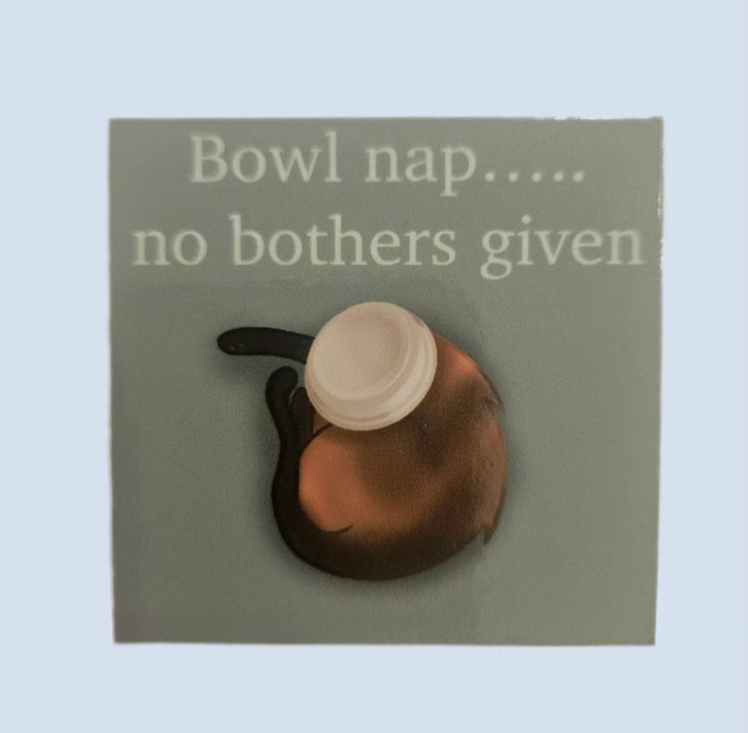 No bothers given nap cat sticker