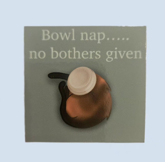 No bothers given nap cat sticker
